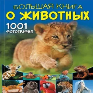FsvjfbpZHIdygEJ3JF3nDxpOp0wcMuFe500_500-1