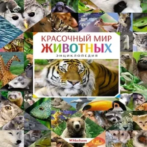 Iwu7peYahvHGuX02F6EmgSTc5fBd8z0m500_500-1