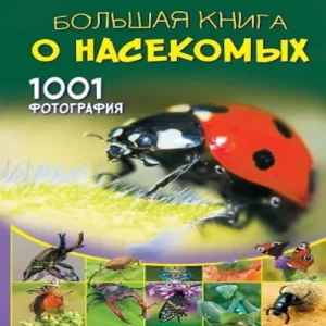 JEi6SbdPsn18zrK4dnuen53Xddy3QpBh500_500-1