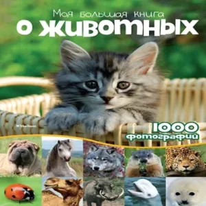 OoguuNTPmf4gmSQGPoEgRRRQzVYPHjDq500_500-1