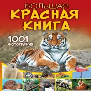 XkNPP91TwVPMOBjw0i4s1usI0zkamSz1500_500-1