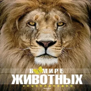 lVkqicPFsZyF6BdUzsW9AIQliAVKlpYB500_500-1
